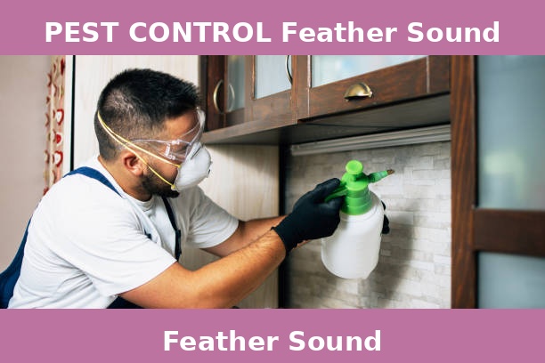 PEST CONTROL Feather Sound